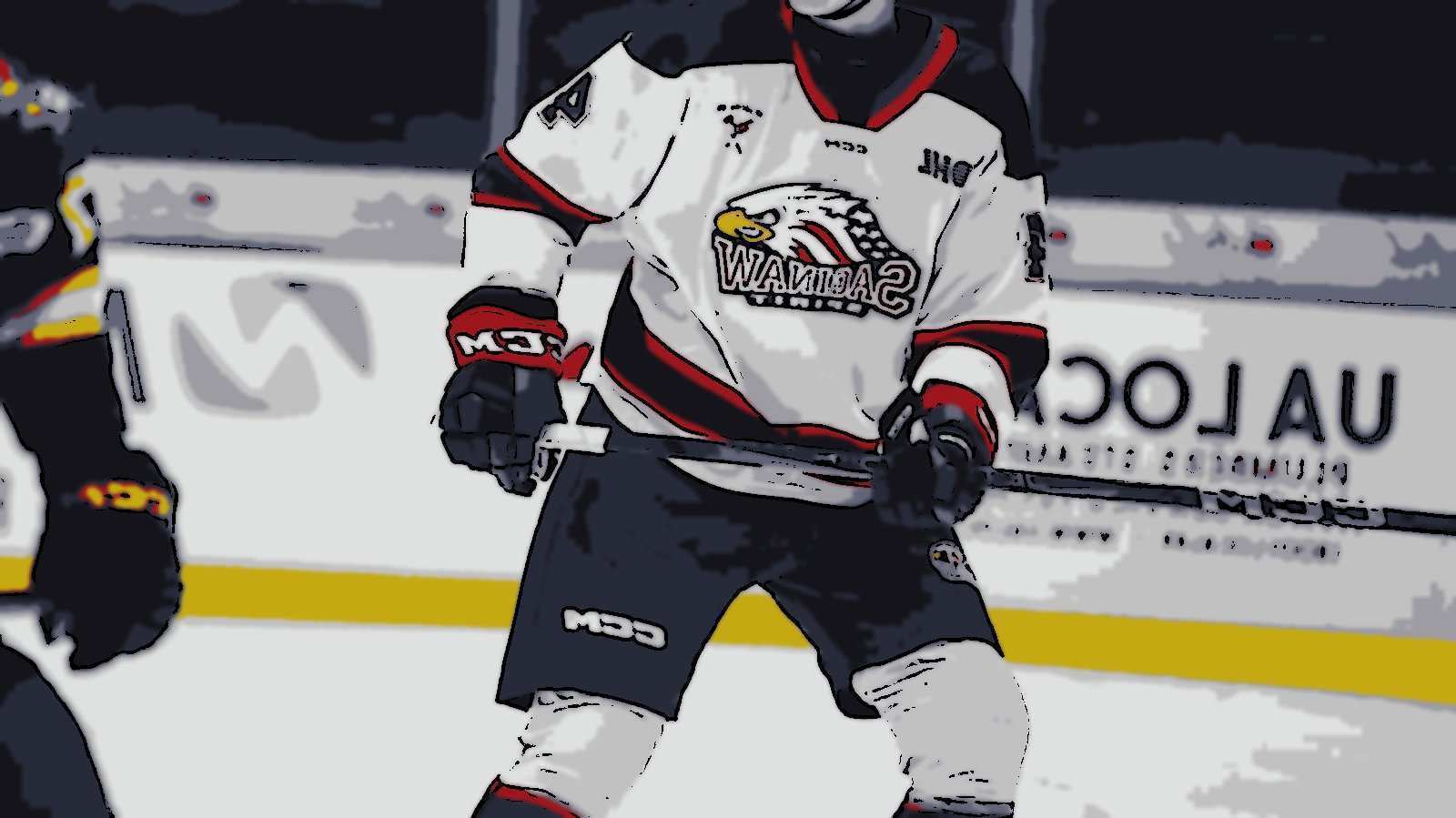 Ex-NHL Players Son & Washington Capitals Prospect...